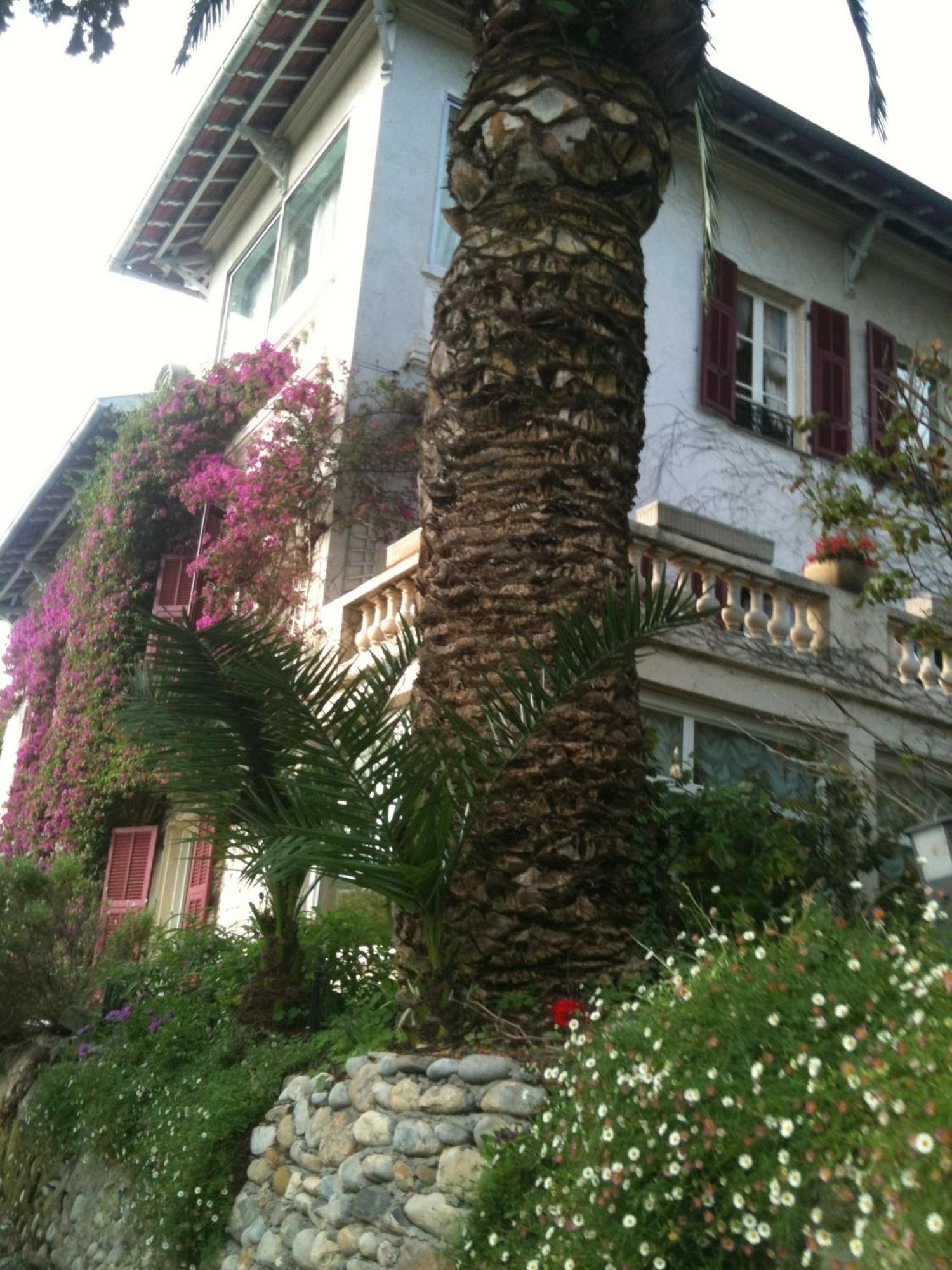 Castel Enchanté Nizza Esterno foto