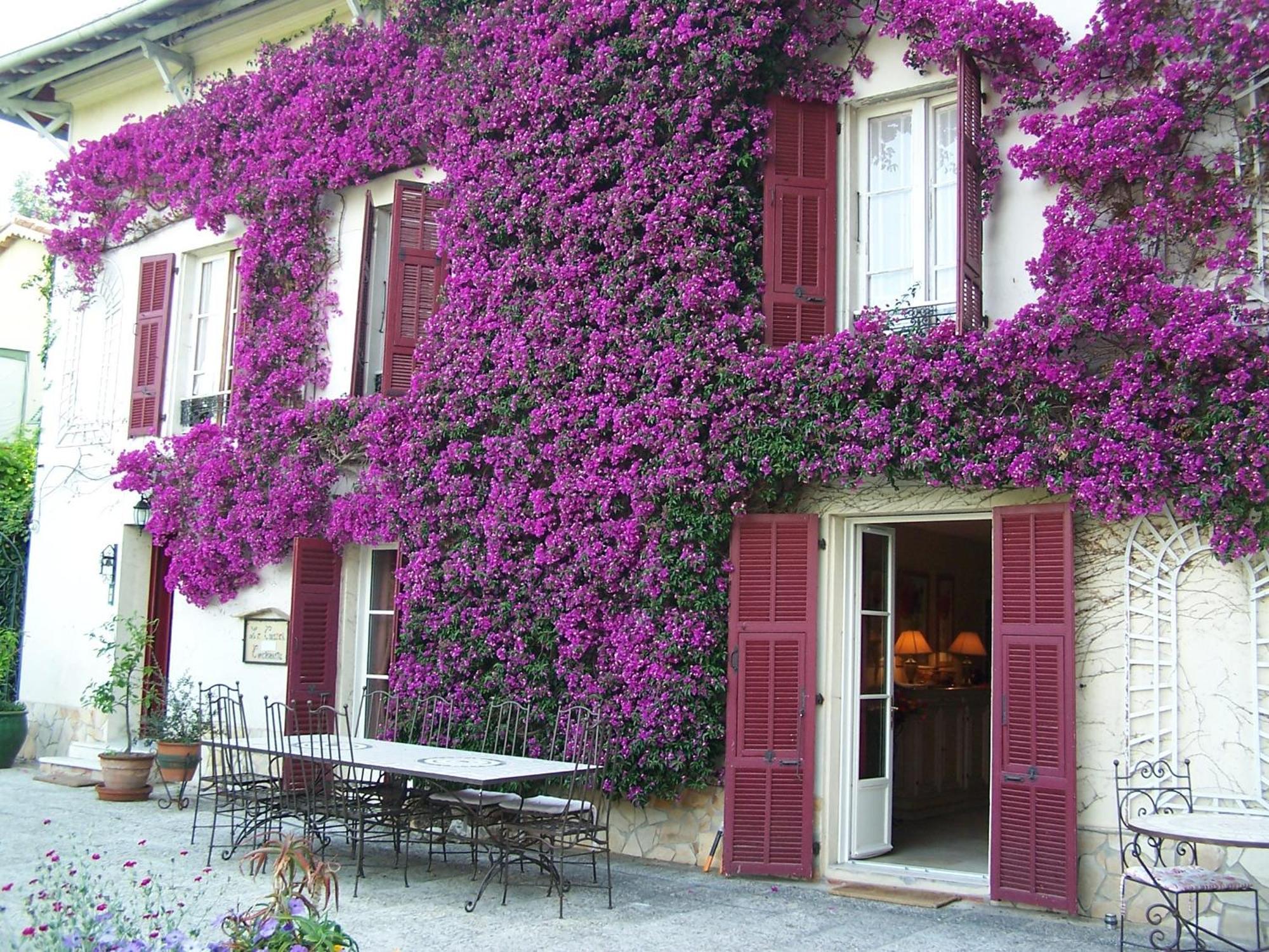 Castel Enchanté Nizza Esterno foto