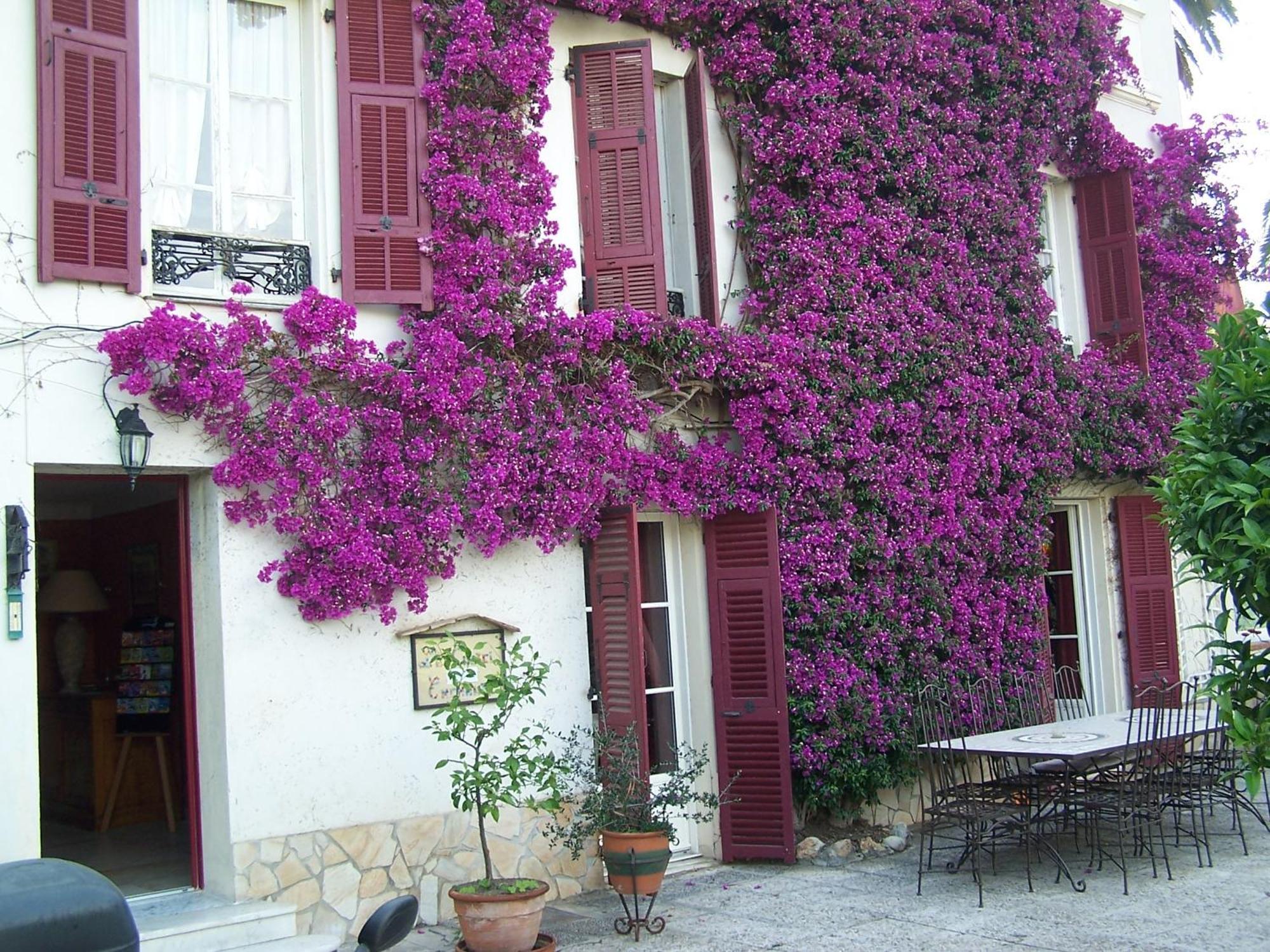 Castel Enchanté Nizza Esterno foto